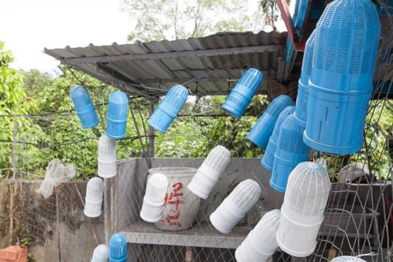Da Nan Ao Homestay Suao Exterior photo